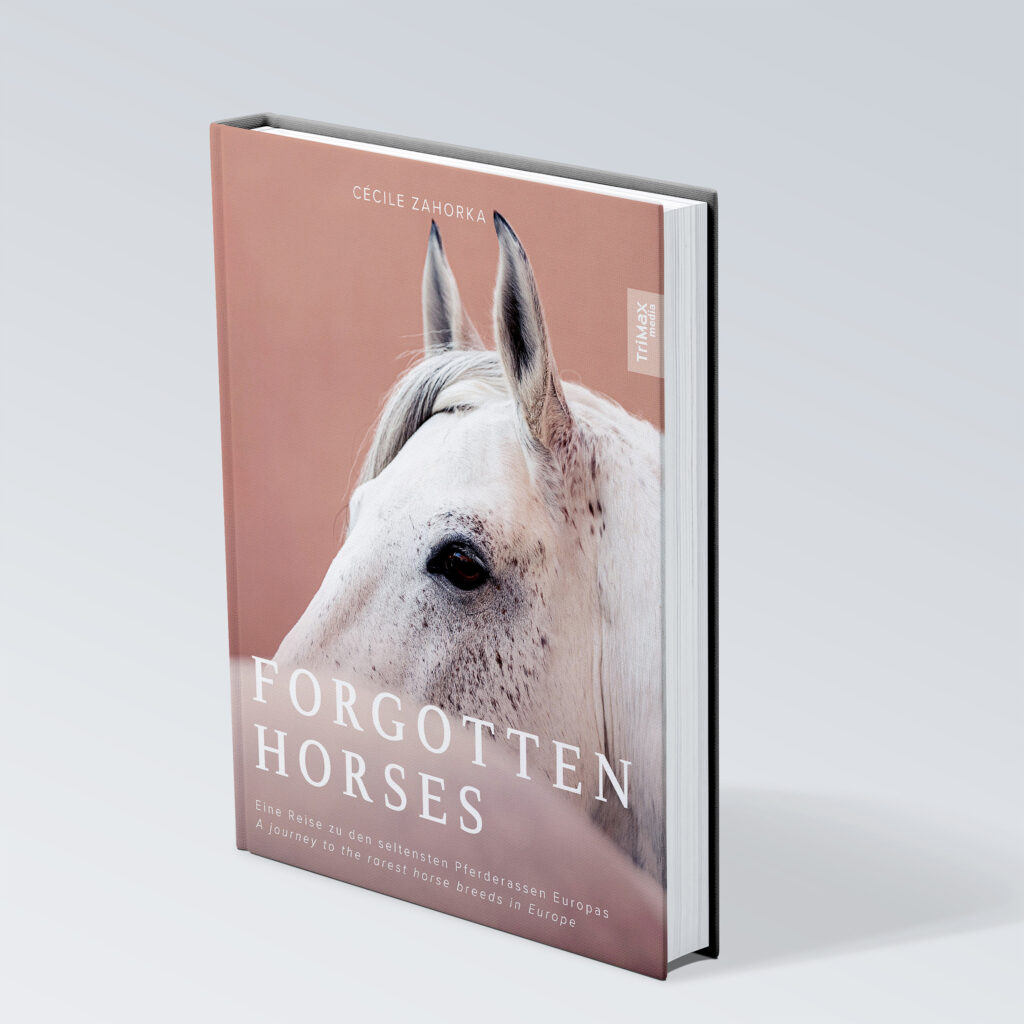 Forgotten Horses