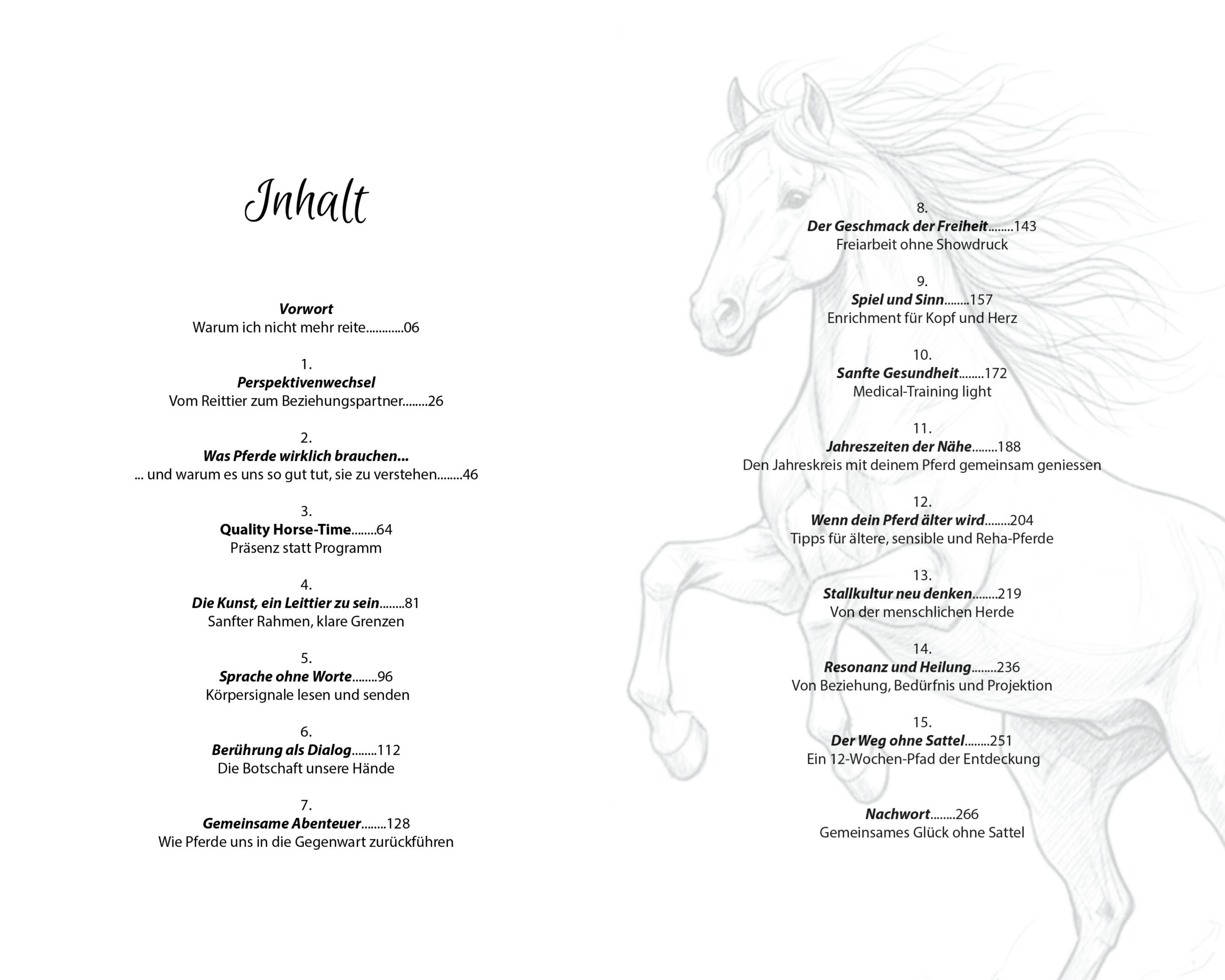 Glück ohne Sattel – Bild 4