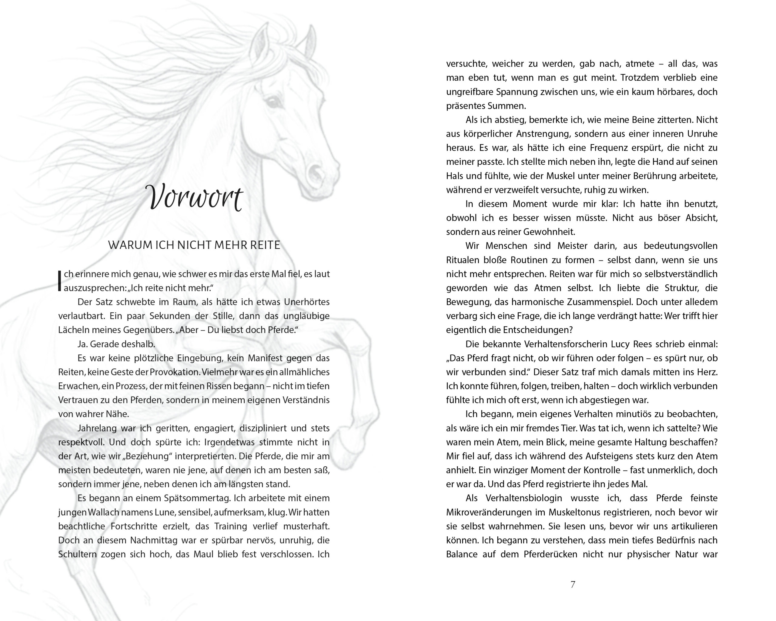 Glück ohne Sattel – Bild 5