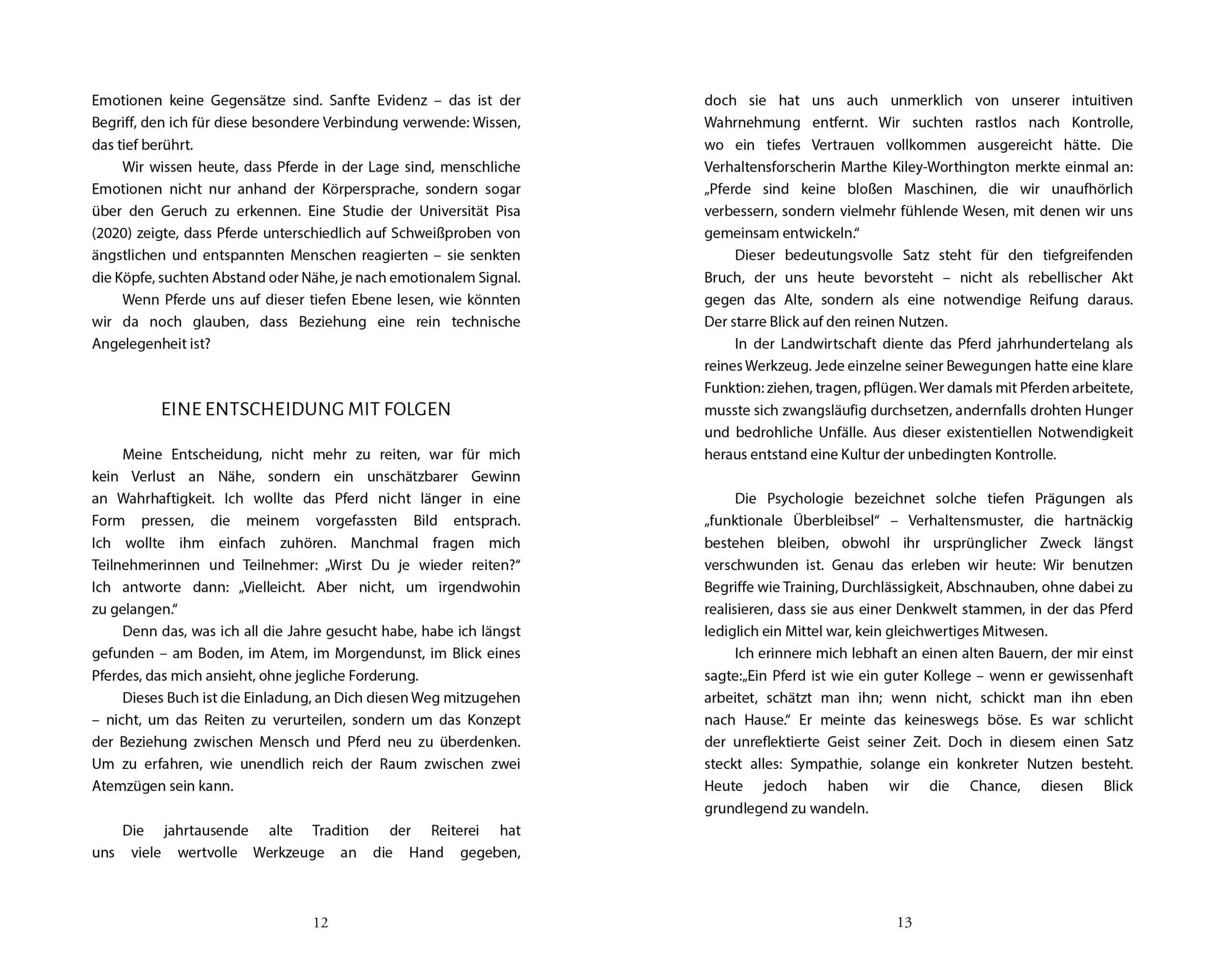 Glück ohne Sattel – Bild 8